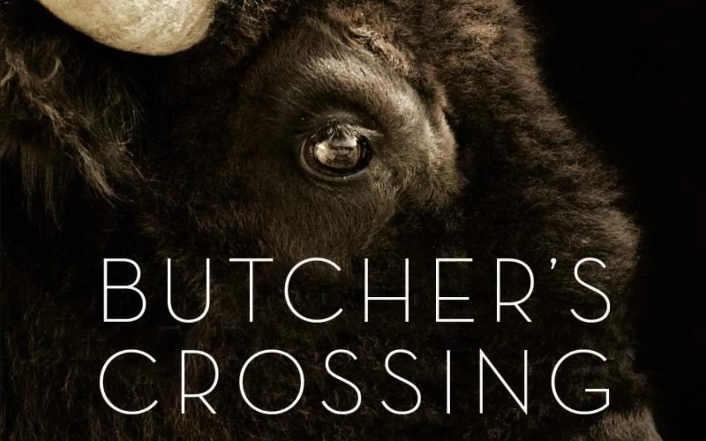 Butcher's Crossing Official Trailer