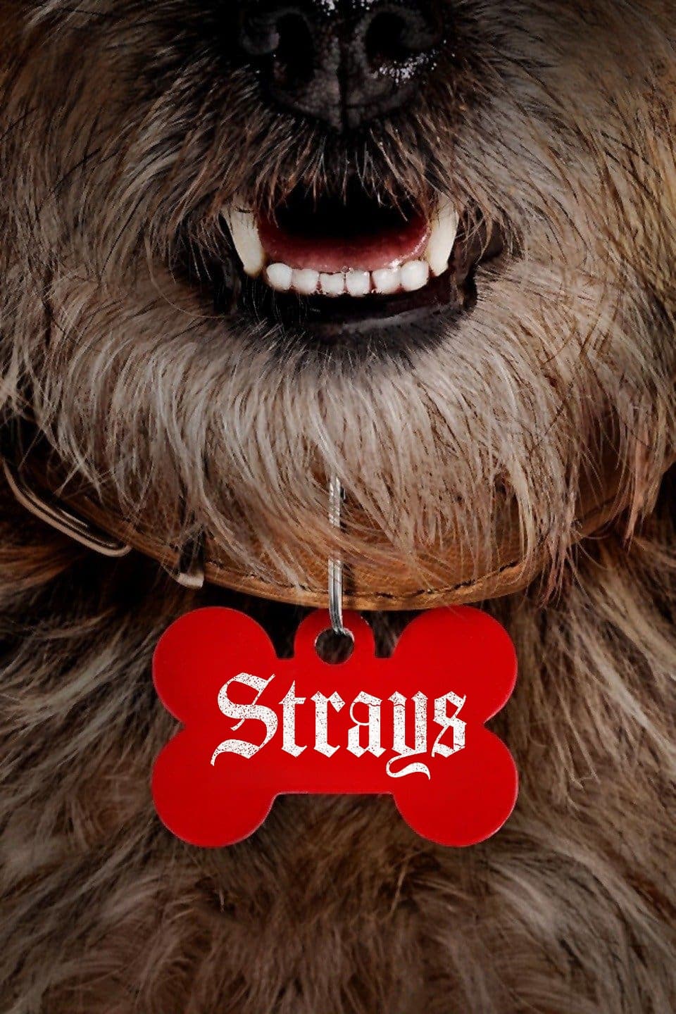 Strays HD Full Movie